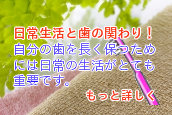 日常生活と歯の関わり!